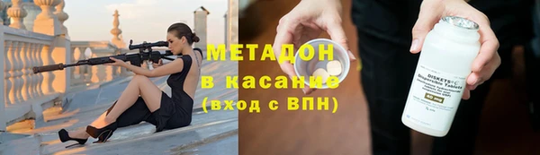 сатива Арсеньев